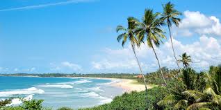 Pourquoi investir au Sri Lanka en 2025 ?